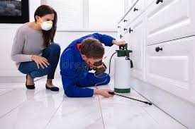 Best Pest Exclusion Services  in Oildale, CA